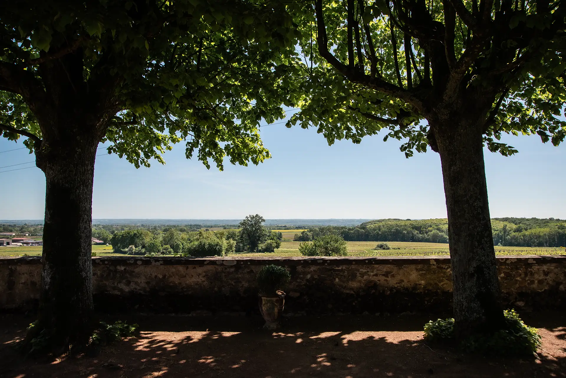 Piscine et jardins du Domaine Morgon La Javernière